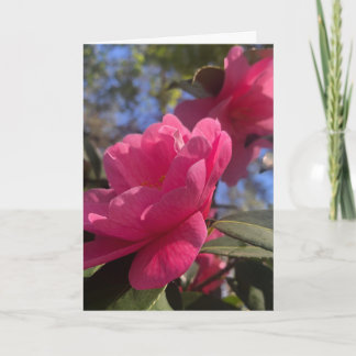 Pétalas Cor-de-Rosa 1 - Cartão de Abertura Doblado