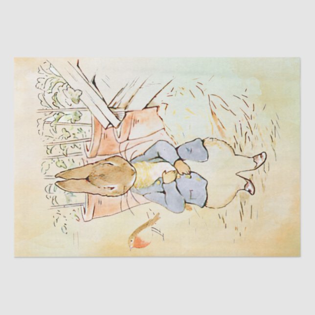 Peter Rabbit (ave) Papel Tecido (Frente )