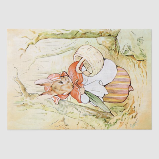 Peter Rabbit (cesta) Papel de Tecido (Frente )