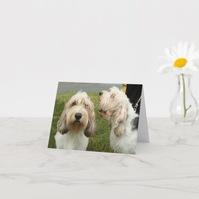 Petit Basette Griffon Vendeen - Cartão de Vazio (Planta pequena)