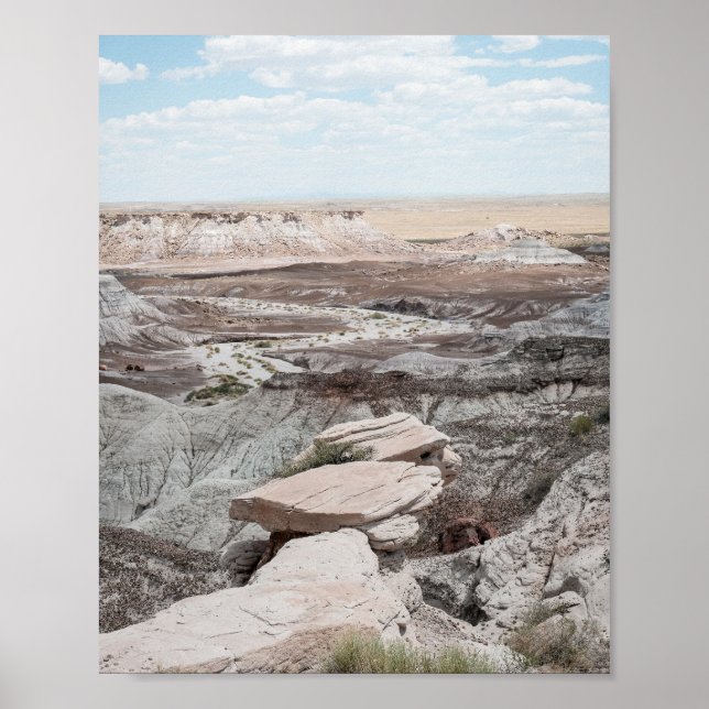 Petrified Forest Print Poster Paper (Semi-Gloss) (Frente)