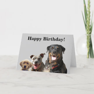 Pets Adoráveis do Cartão de Aniversário da Gangue