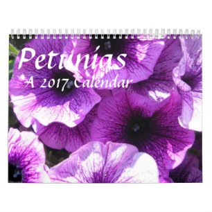 Petúnias - um calendário 20XX