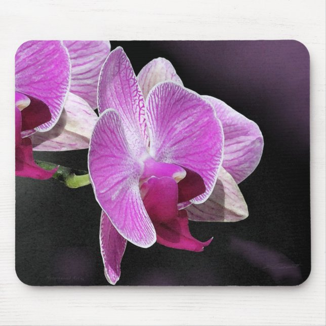 Phalae Mousepad Orquídeo (Frente)