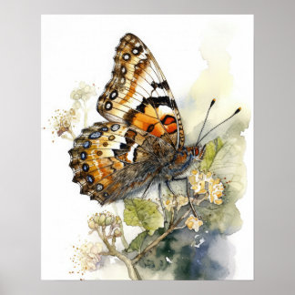 Phaon Crescent Butterfly Art Impressão