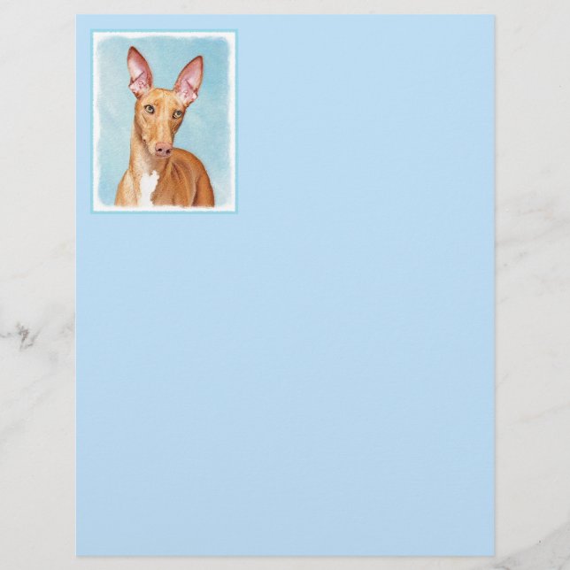 Pharaoh Hound Painting - Arte Cachorra Original (Frente)