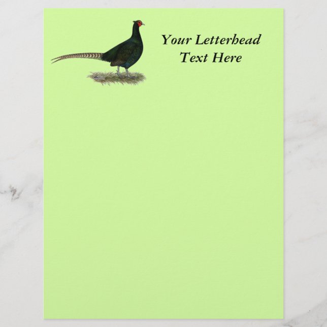 Pheasant Black Rooster (Frente)