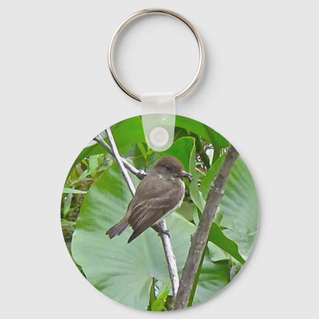 Phoebe Flycatcher Chaveiro (Frente)