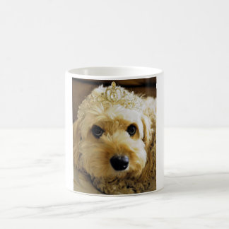 PhoebethePrincess, Cavapoo na caneca branca