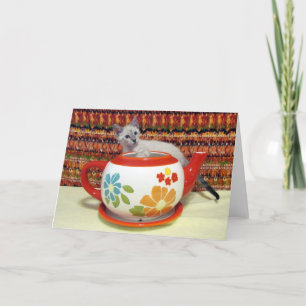 Phoenix - Testando As Águas - Cartão De Saudação