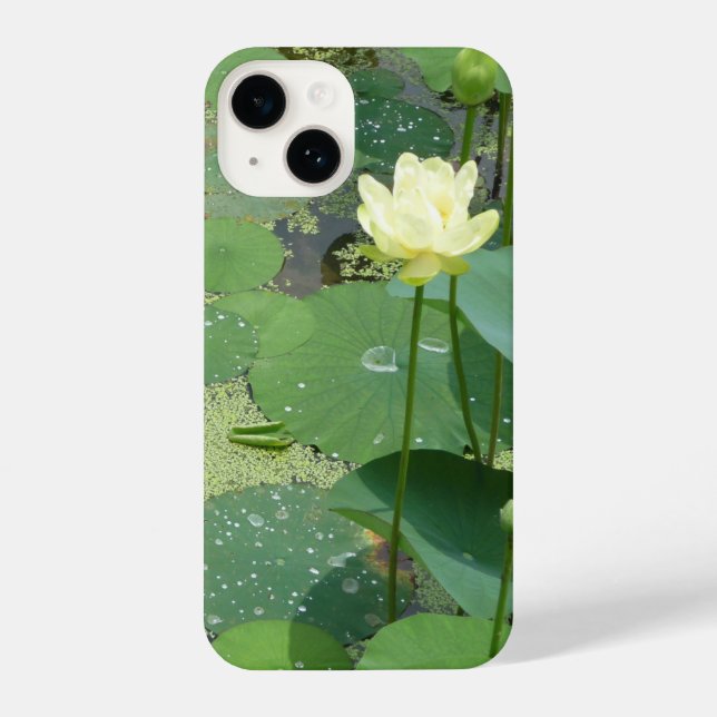 Phone Case (Verso)