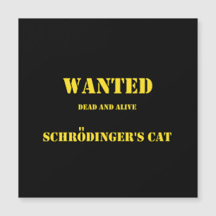 Piada Quântica Divertida: O Gato de Schrödinger à