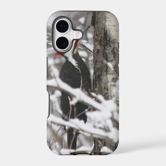 Pica-pau - capa para iPhone 5