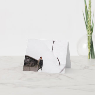 Pica-pau do cartão de nota da floresta