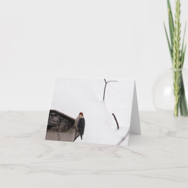 Pica-pau do cartão de nota da floresta (Frente)