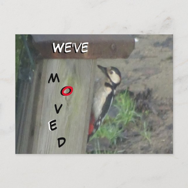 Pica-pau giro na caixa do ninho que movemos cartão (Frente)