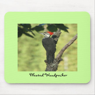 Pica-pau Mousepad