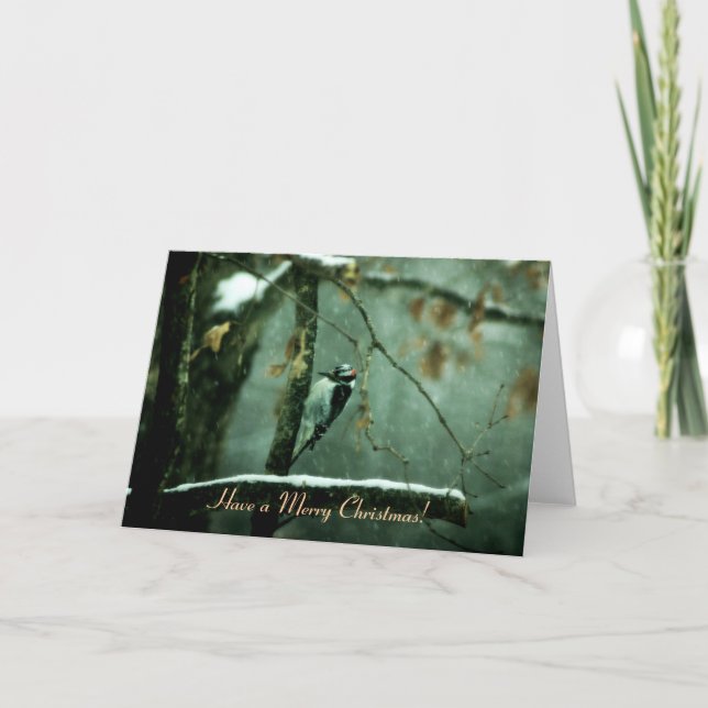 Pica-pau no cartão de Natal da neve (Frente)