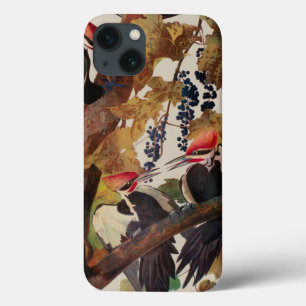 Pica-Pica-Pica-Pica Audubon Pileada