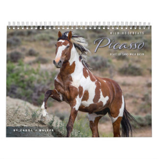 Picasso: Coração do Calendário da Bacia de Lavagem