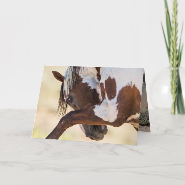 Picasso Gira Cartão de Saudação Cavalo Selvagem (Frente)