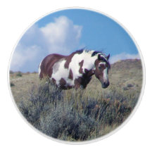 Picasso sob um céu azul