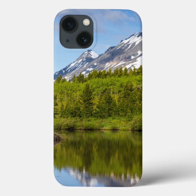 Picos De Montanha Refletem Em Um Pico De Castor (Verso)