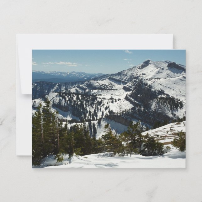 Picos de neve da Grande Montanha Teton II Foto (Frente)