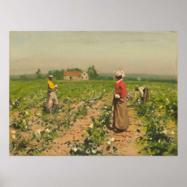 Picting Cotton - William G. Gaul Fine Art Poster (Frente)