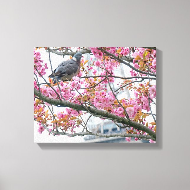 Pigeon Descansando Em Uma Tree Branch Canvas Print (Frente)