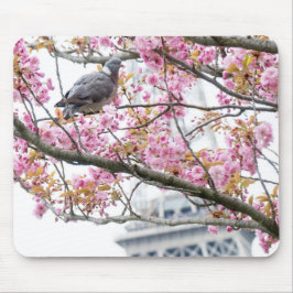 Pigeon e Eiffel Tower Mousepad