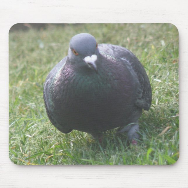 Pigeon Mousepad (Frente)