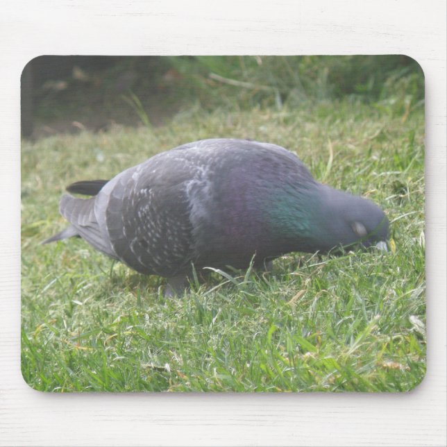 Pigeon Mousepad Dormindo (Frente)