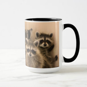 Pilha da caneca dos guaxinins