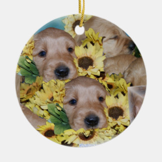 Pilhas dos filhotes de cachorro em enfeites de