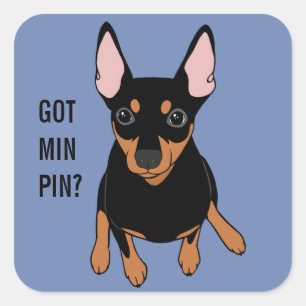 Pin obtido do minuto? Etiqueta (preta) do Pinscher