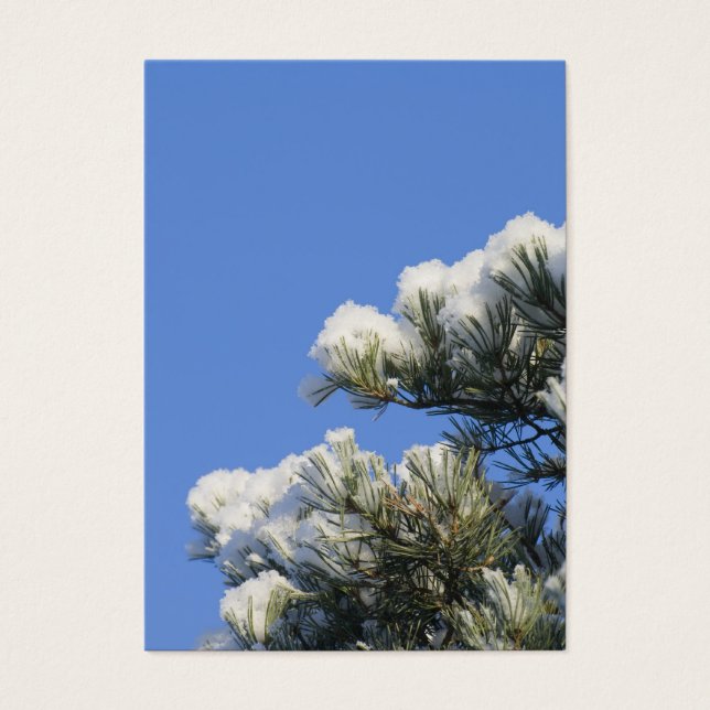 Pine agulha (Frente)