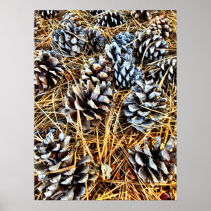 Pine Cones e Pine Agulha Poster
