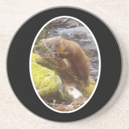 Pine Marten na Porta copos do Log Sandstone