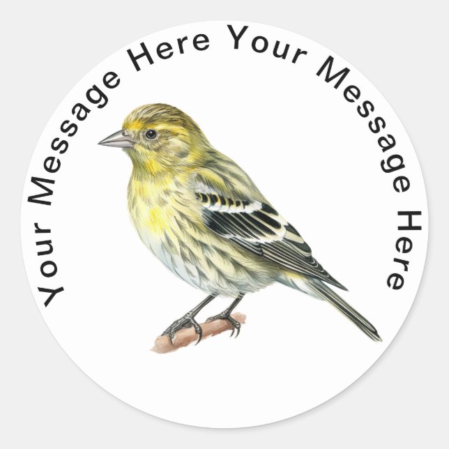 Pine Siskin adesivos (Frente)