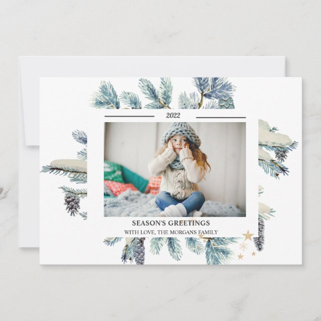 Pine Tree Branches Foto SEASON (Frente)