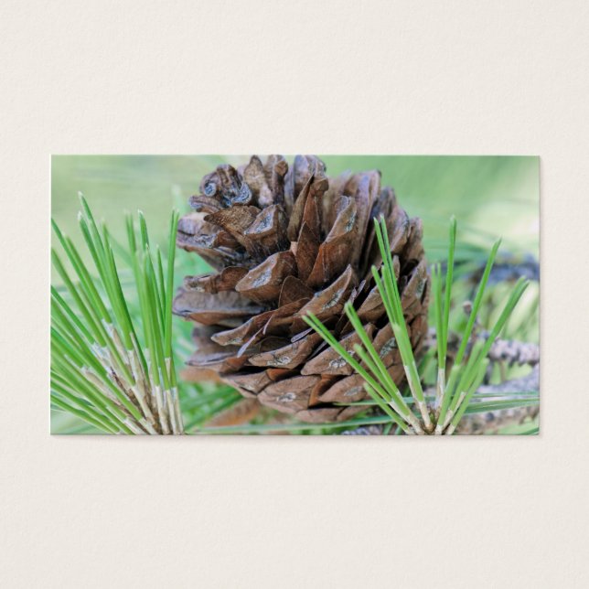 Pinecona (Frente)