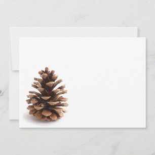 Pinecone