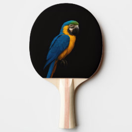Ping Pong Raquete de pingue-pongue Black 4 Luxe, Arara-azul-