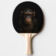 Raquete de pingue-pongue Black 4 Luxe, Chimpanzé S