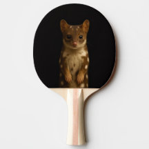 Raquete de pingue-pongue Black 4 Luxe, Sweet Quoll
