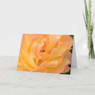 Pingos de chuva no cartão vazio dos rosas