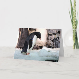 Pinguim Snowball Bate Cartão de Natal