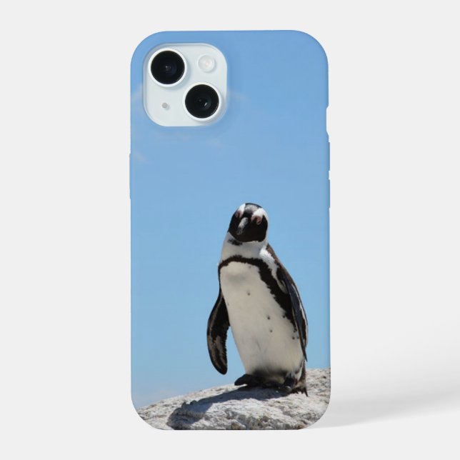 Pinguim solteiro (Verso)