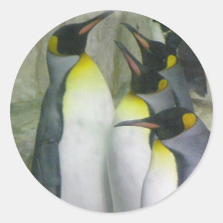 pinguins, autocolantes